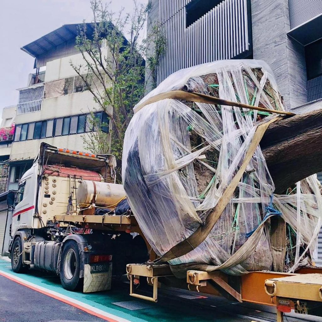 ▌耕建築 |都市更新.森呼吸 5 434941533 924753146323468 5297582592001658554 n