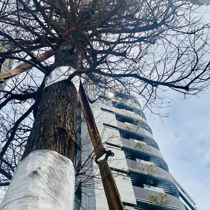 ▌耕建築 |都市更新.森呼吸 7 434942695 924753219656794 3594628187266705059 n