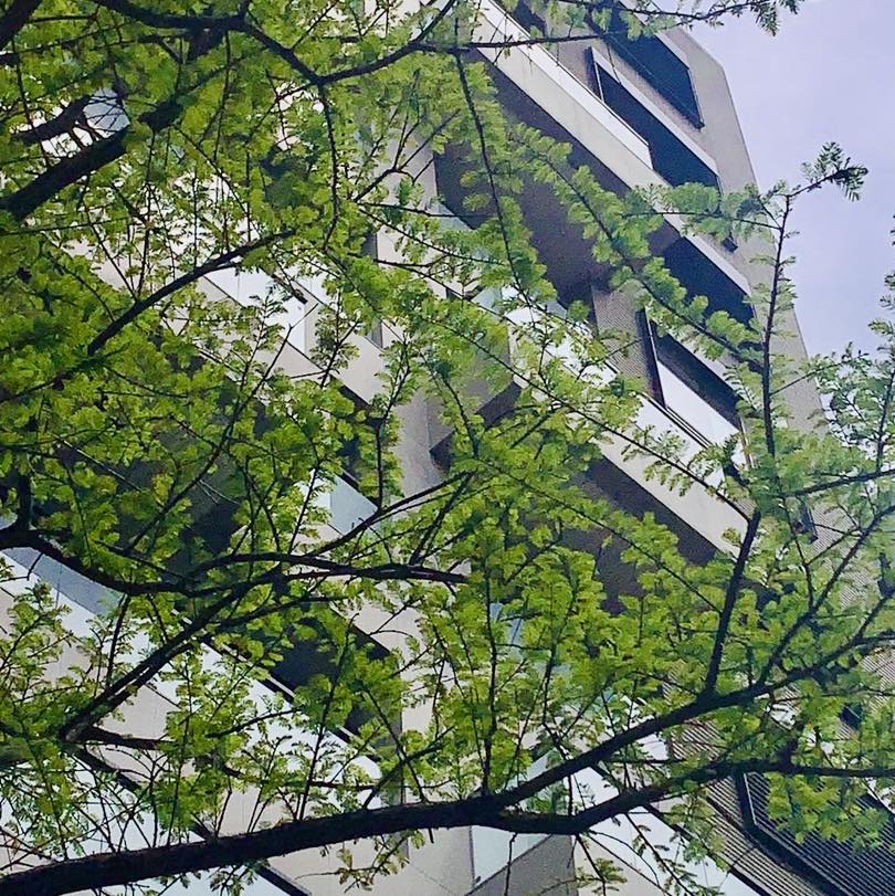 ▌耕建築 |都市更新.森呼吸 9 434946779 924753092990140 2636732993205694732 n