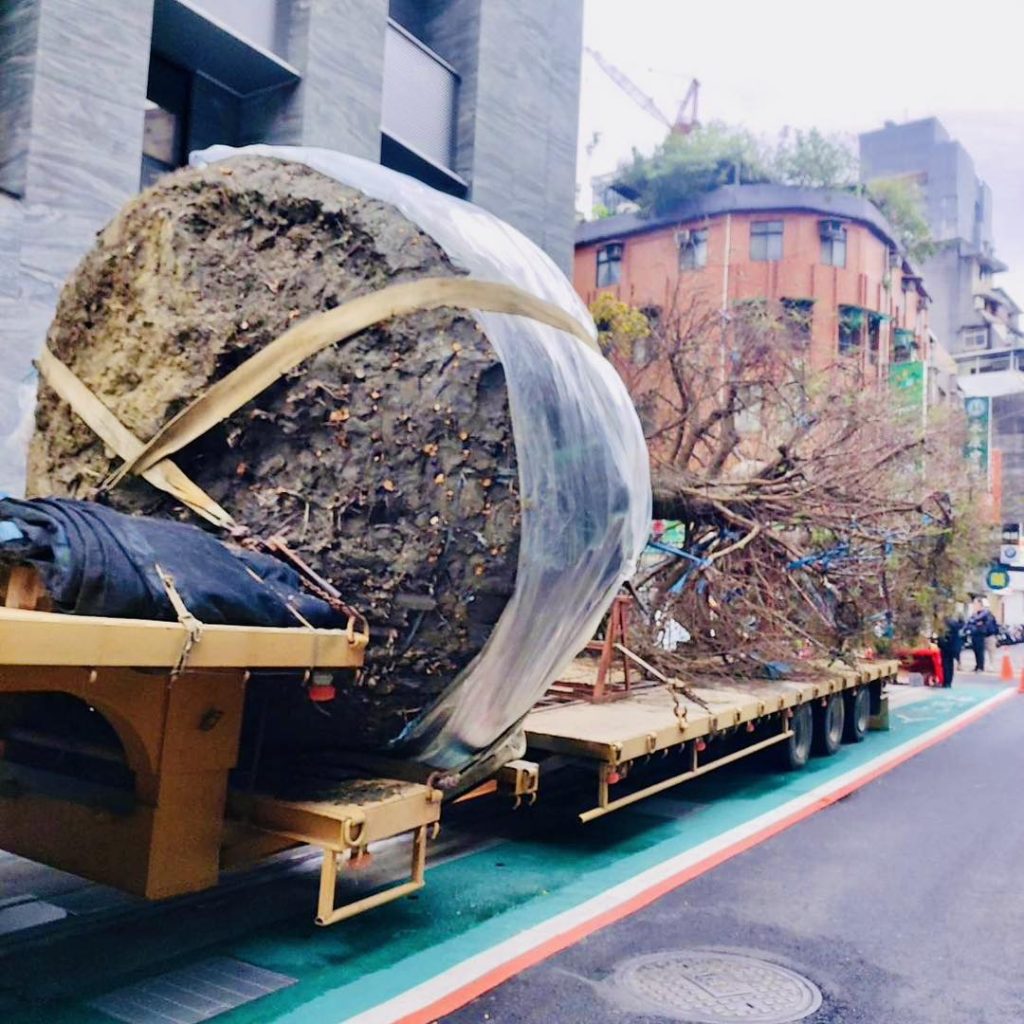 ▌耕建築 |都市更新.森呼吸 6 434959929 924753079656808 1102847478874388037 n